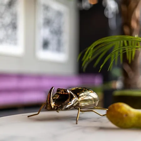 Szálloda Zoo By Afrykarium